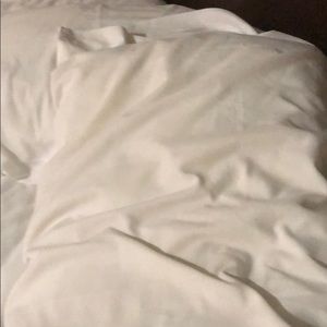 Downed pillows 8 pack